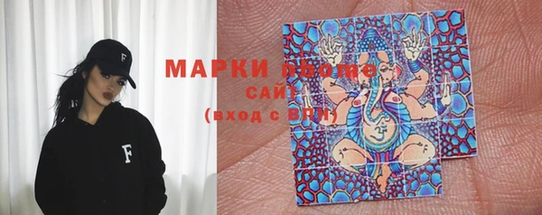 крисы Новодвинск
