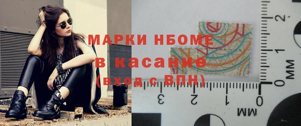 крисы Новодвинск