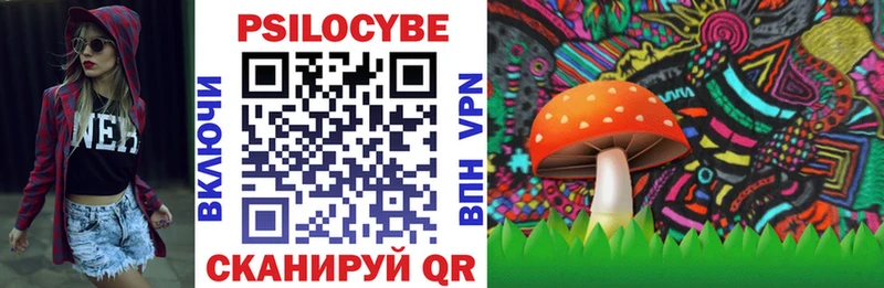 где купить наркоту  Торжок  Галлюциногенные грибы мухоморы 