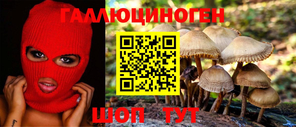 Торжок  Галлюциногенные грибы GOLDEN TEACHER  Галлюциногенные грибы Cubensis  купить наркотики сайты  Вход с VPN 